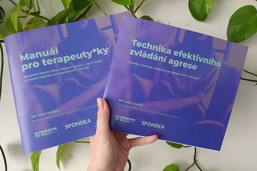 Inspirace z Norska: jak pracovat s lidmi, kteří se dopouští násilí ve vztazích